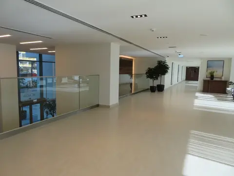 Ход строительства Acacia At Park Heights, Dubai Hills Estate — 19 января 2020, готовность 100,00%, снимок 7 из 11