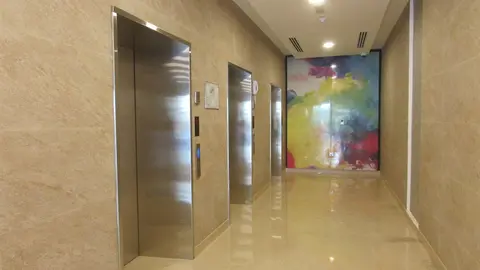 Ход строительства Murano Residence 1, Al Furjan — 29 января 2019, готовность 100.00%, снимок 4 из 12