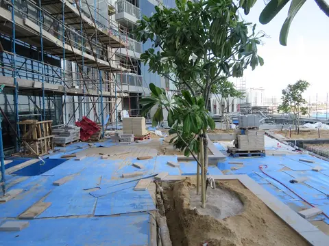 5242, Dubai Marina construction progress — 11 November 2019, 80.04% complete, photo 6 of 8