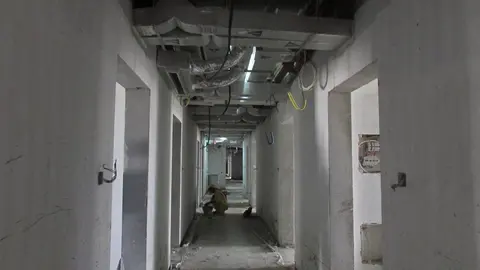 Ход строительства Roy Mediterranean Serviced Apartments, Al Furjan — 28 августа 2017, готовность 71.02%, снимок 8 из 10