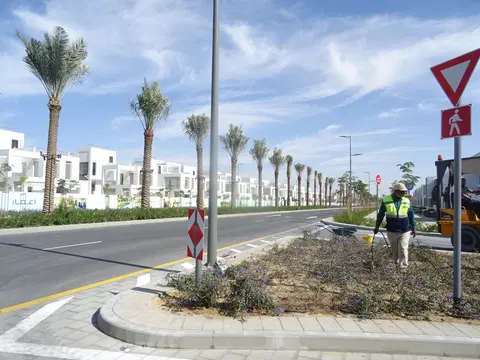 Ход строительства Arabian Ranches Lll - Ruba, Arabian Ranches 3 — 19 февраля 2024, готовность 100,00%, снимок 5 из 10