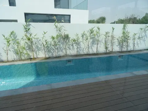 Chorisia 1 Villas, Al Barari construction progress — 6 October 2022, 83.04% complete, photo 5 of 12