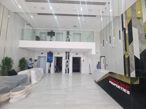 Ход строительства Pearlz by Danube, Al Furjan — 14 мая 2024, готовность 100,00%, снимок 6 из 10