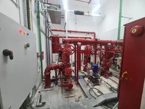 Ход строительства Pearlz by Danube, Al Furjan — 14 мая 2024, готовность 100,00%, снимок 5 из 10