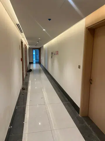 Ход строительства Elegance Tower, Downtown Dubai — 12 апреля 2026, готовность 86,23%, снимок 7 из 11