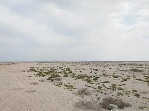 Ход строительства Palm Jebel Ali - Frond J, Palm Jebel Ali — 2 марта 2023, готовность 0.00%, снимок 2 из 3