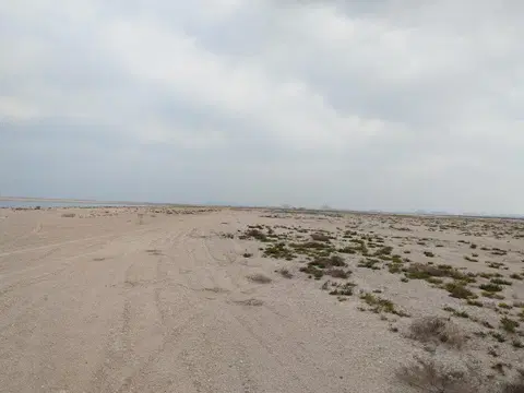 Ход строительства Palm Jebel Ali - Frond J, Palm Jebel Ali — 2 марта 2023, готовность 0.00%, снимок 1 из 3