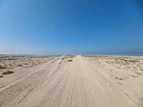 Ход строительства Palm Jebel Ali - Frond J, Palm Jebel Ali — 11 ноября 2024, готовность 0,00%, снимок 1 из 2