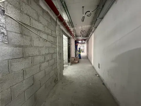 SLS Residences The Palm, The Palm Crescent construction progress — 19 February 2026, 41.56% complete, photo 4 of 9