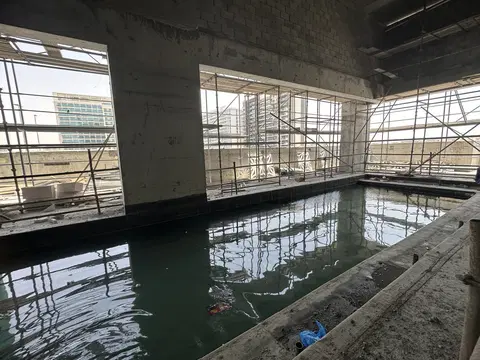 Ход строительства The Stella Residences, Al Furjan — 29 июня 2026, готовность 65.05%, снимок 7 из 10