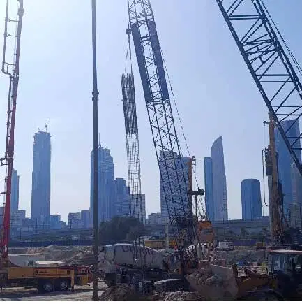 Address Residences Zabeel, Za'abeel construction progress — 19 February 2025, 1.08% complete, photo 4 of 4