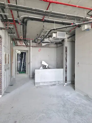Ход строительства 310 Riverside Crescent, Sobha Hartland 2 — 10 июня 2026, готовность 44,51%, снимок 5 из 9