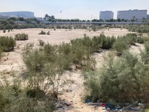 Ход строительства Parkland, Dubai Hills Estate — 12 июня 2024, готовность 0.00%, снимок 2 из 2