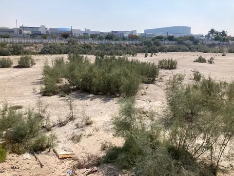 Ход строительства Parkland, Dubai Hills Estate — 12 июня 2024, готовность 0.00%, снимок 1 из 2
