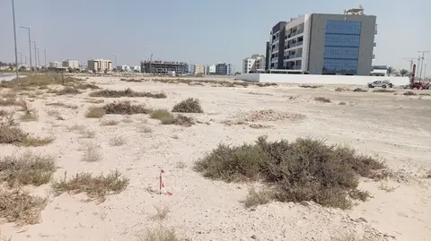 Views Vii By Golden Woods, Dubai South Residential District construction progress — 22 August 2024, 0.00% complete, photo 2 of 2