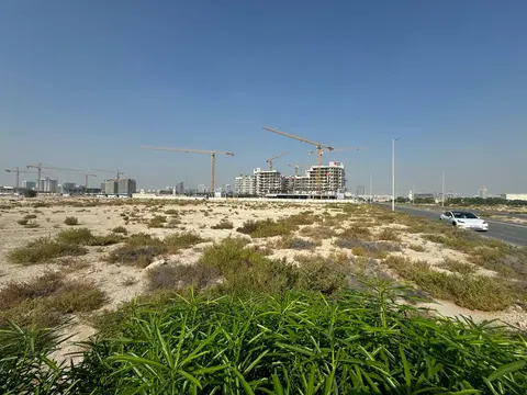 The First Collection At Dubai Studio City, Studio City construction progress — 29 November 2024, 0.00% complete, photo 2 of 2