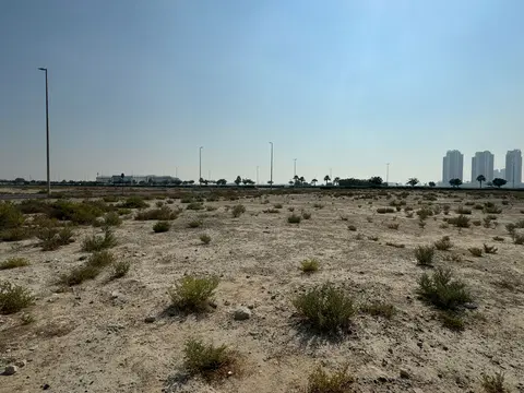 The First Collection At Dubai Studio City, Studio City construction progress — 29 November 2024, 0.00% complete, photo 1 of 2