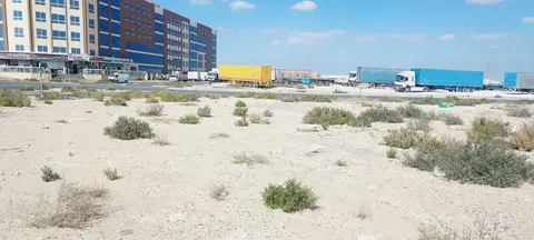 Ход строительства Al Haseen Residences 3, Saih Shuaib 2 — 27 января 2025, готовность 0.00%, снимок 3 из 3
