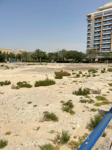 Almaara Residences, Al Furjan construction progress — 24 January 2025, 0.00% complete, photo 1 of 3