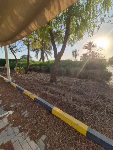 Vedaire Residences, Nad Al Sheba 1 construction progress — 10 April 2025, 0.00% complete, photo 1 of 2