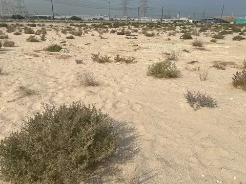 Hills View At Wasl Gate, Al Furjan construction progress — 27 March 2025, 0.00% complete, photo 2 of 4