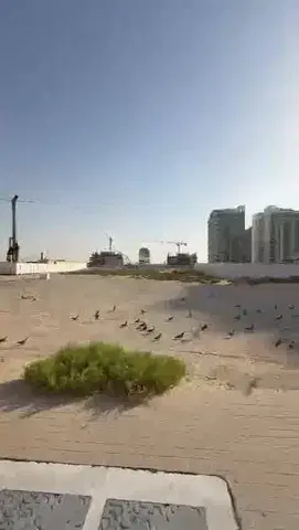 Ход строительства Arlington Park, DubaiLand Residence Complex — 26 мая 2025, готовность 0.00%