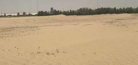 Grand Polo - Selvara 2, Grand Polo Club and Resort construction progress — 9 June 2025, 0.00% complete, photo 2 of 2