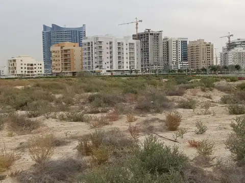 Verdania 4, DubaiLand Residence Complex construction progress — 4 December 2025, 0.00% complete, photo 1 of 3