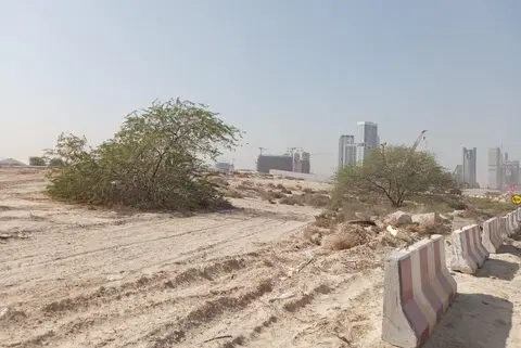 Ход строительства Chavelle By Imtiaz, Meydan Horizon — 22 января 2026, готовность 0,00%, снимок 2 из 2