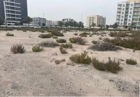 X11, Dubai South Residential District construction progress — 12 August 2026, 0.00% complete