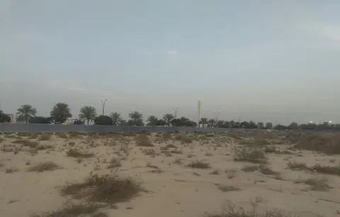 Golf Fields, Emaar South construction progress — 24 February 2026, 0.00% complete, photo 2 of 2